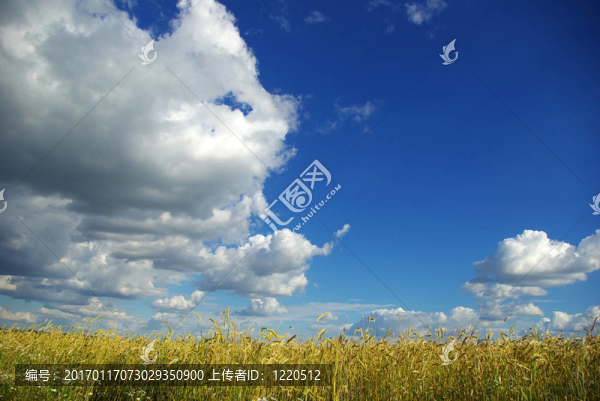 領(lǐng)域