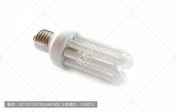電燈泡