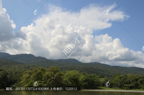 Hill森林