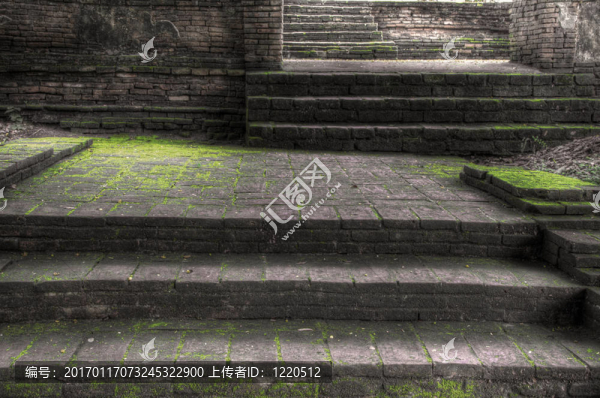 長(zhǎng)滿青苔的步驟