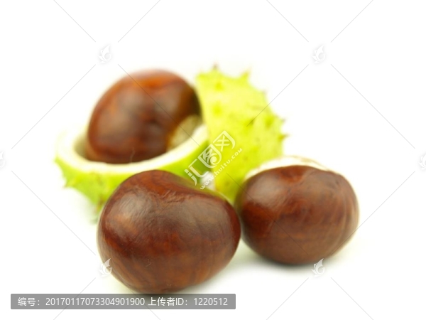 板栗很近