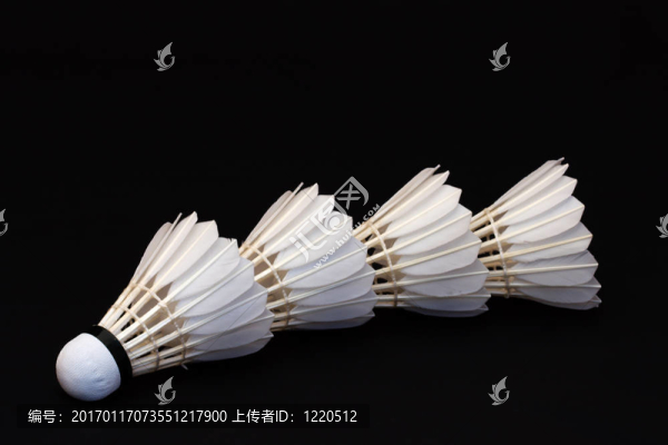 羽毛球