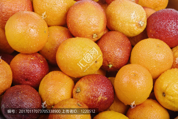 有機(jī)血橙