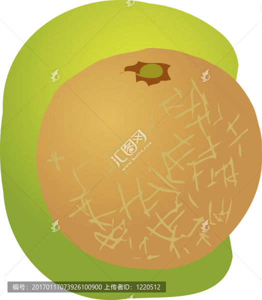 甜瓜果實的插圖