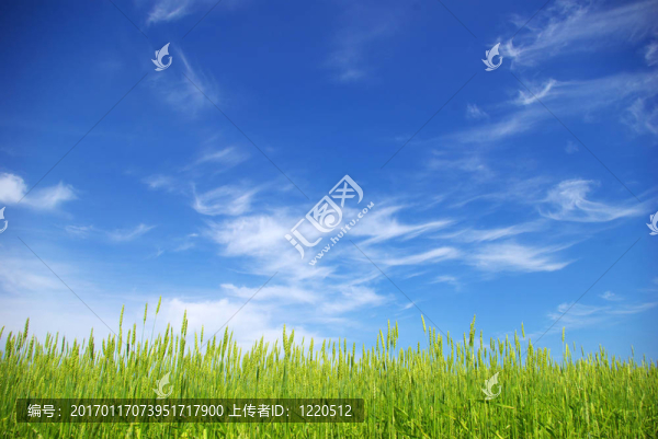 領(lǐng)域