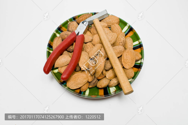 杏仁種子
