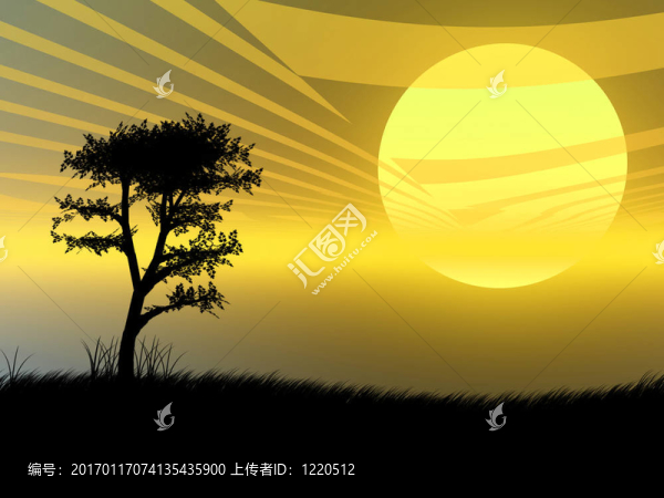 夕陽(yáng)中的樹