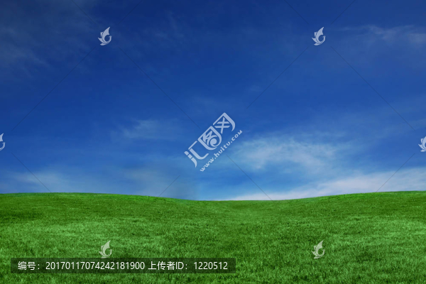 藍(lán)天與綠地草景觀