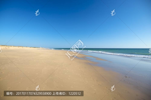 埃爾帕爾馬海灘