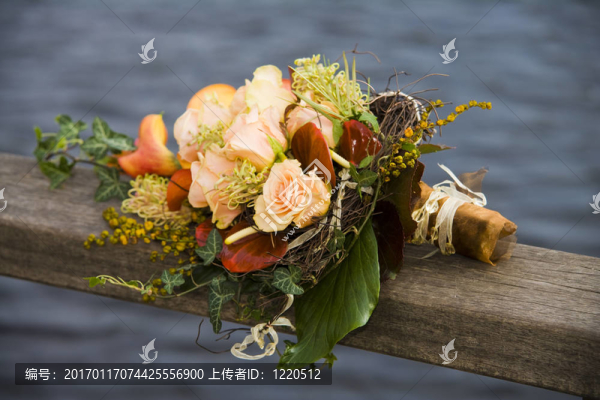 美麗的花朵