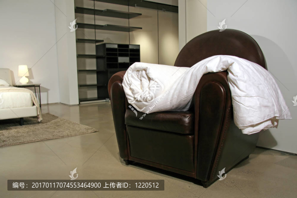 現(xiàn)代生活方式-臥室的內部