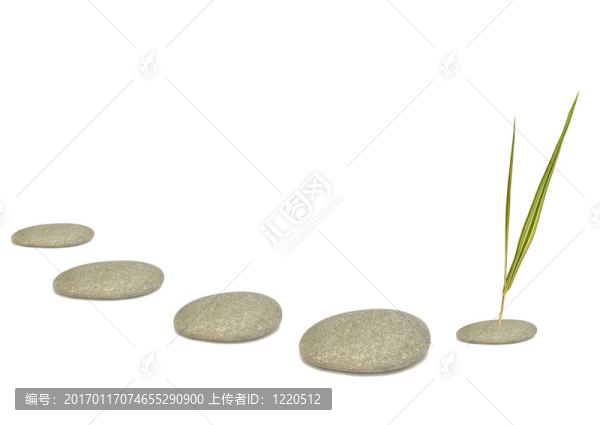 禪宗的元素