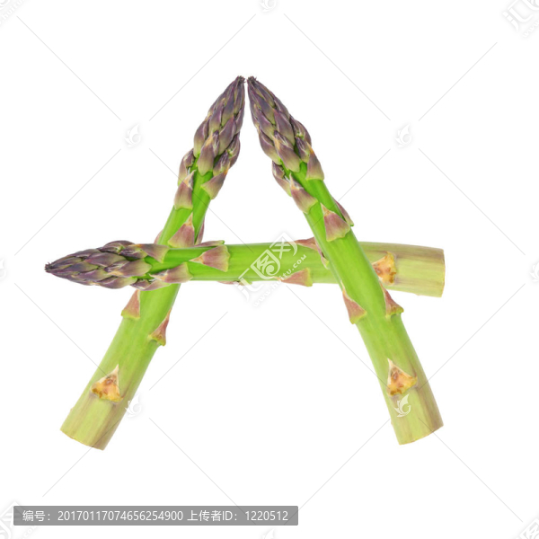 蘆筍抽象設(shè)計