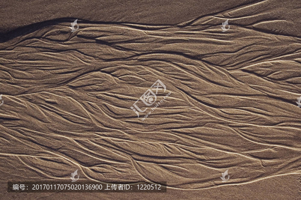 沙流