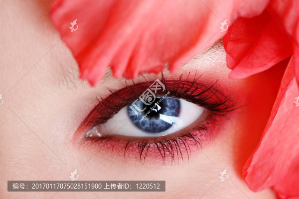 女人的眼睛