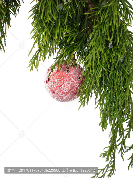 松木裝飾分公司