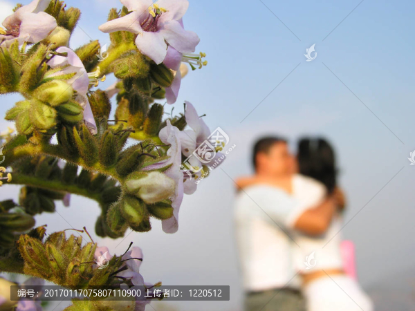 花和人