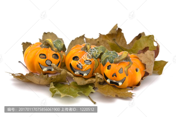 白色萬(wàn)圣節(jié)系列