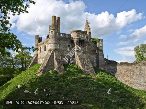 在山羊吃草的小山上的中世紀城堡遺跡
