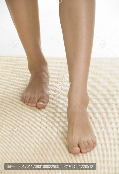 高加索模型的腿