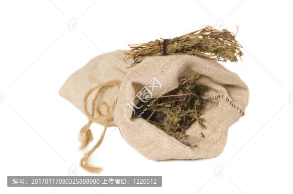 袋草