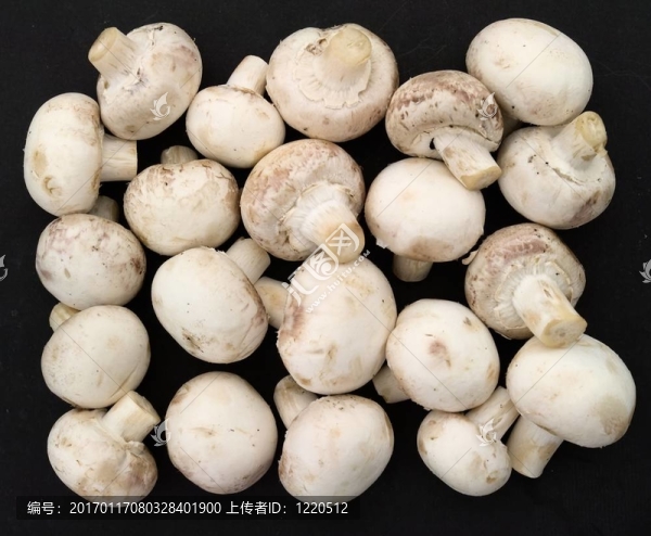 香菇
