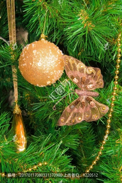新年樹科