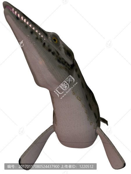 滄龍