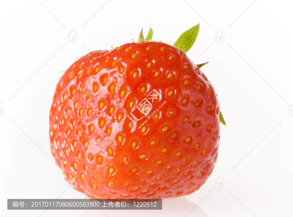 紅色的草莓