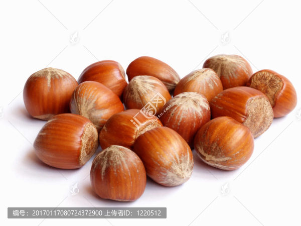 榛子-匯圖網(wǎng) www.fosd68.com 榛子