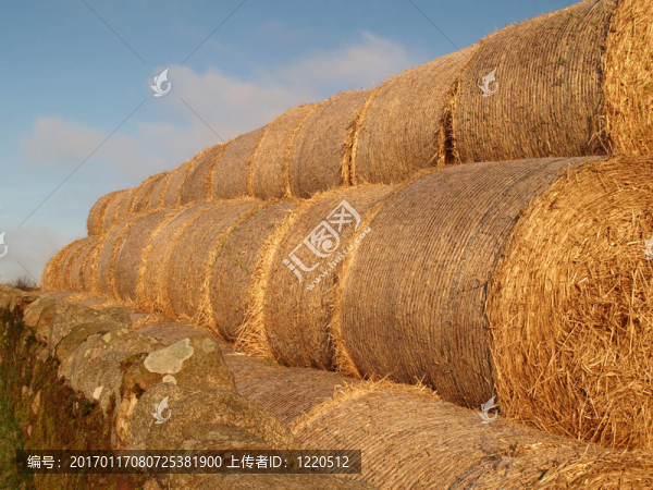 haybales