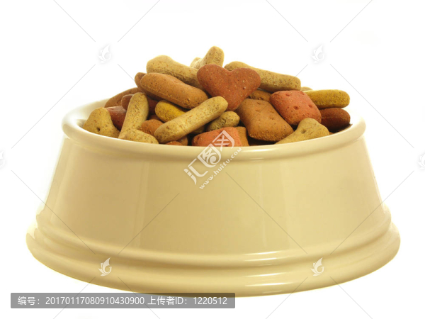 狗食品系列