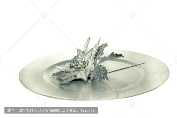 美麗的圣誕裝飾板
