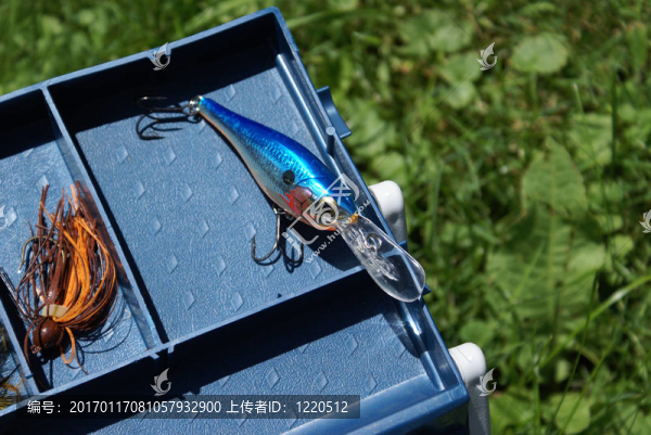 魚餌