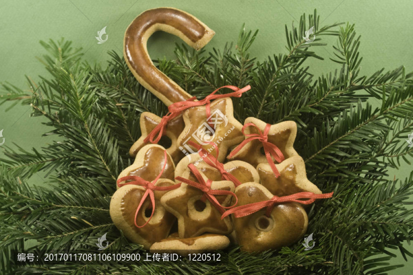 杉木枝上的餅干