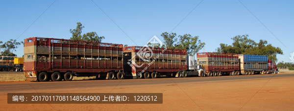 在澳大利亞公路列車