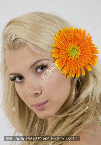 與非洲菊可愛的女士