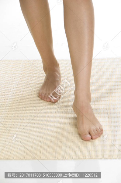 女人的性感腿