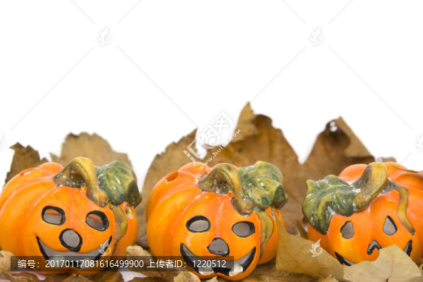 白色萬圣節(jié)系列