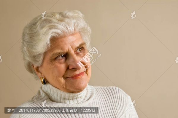 貴婦畫像；微笑；復制空間。