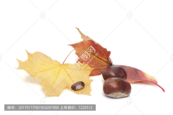 休假安排
