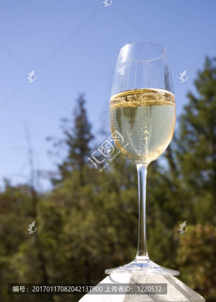 在陽光下沐浴的玻璃杯中起泡的酒