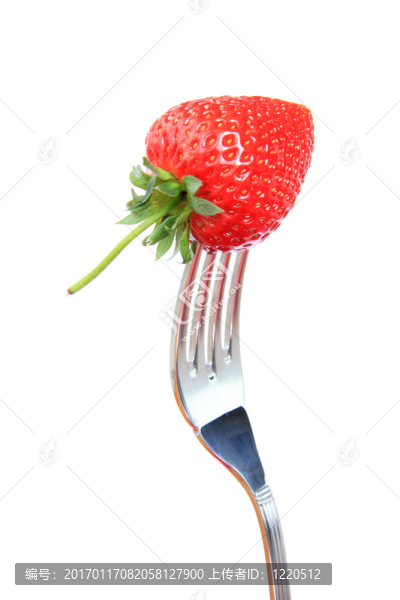草莓