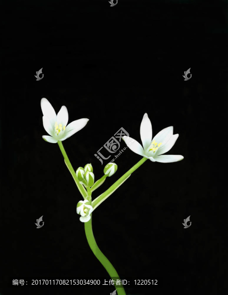 伯利恒之星