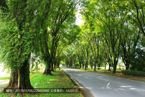 沿公路邊