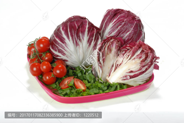 菊苣羅索