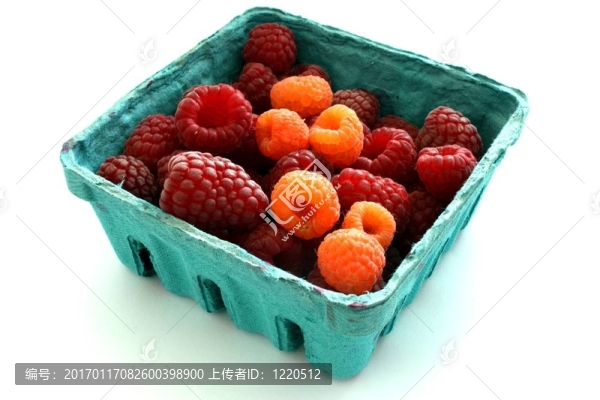 籃覆盆子