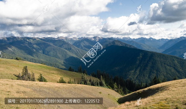 山景