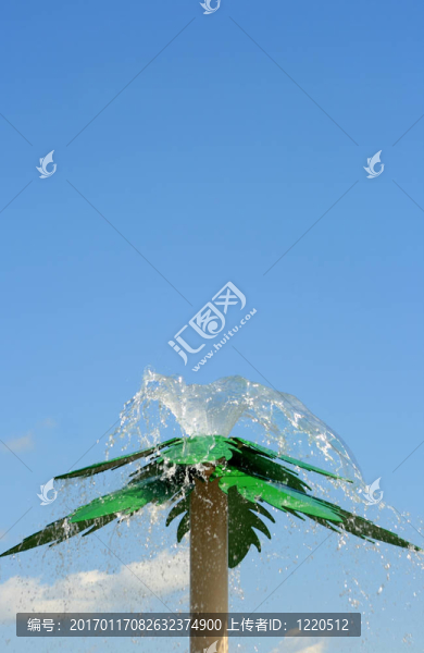 棕櫚