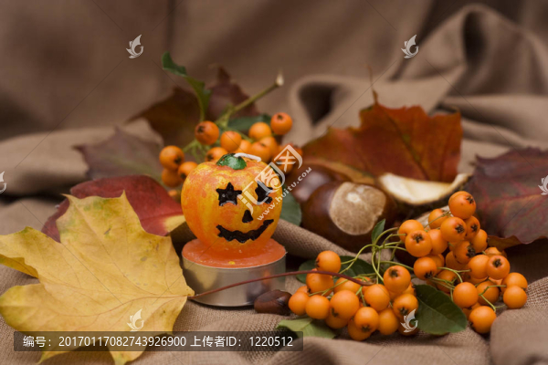 休假安排